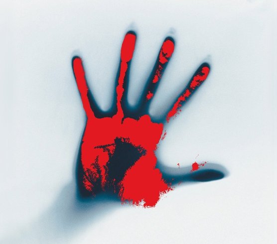 skull and vintage book